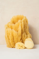 Facial Sea Sponge