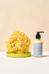 Babe in the Woods Hand & Body Wash, Shea Butter & Calendula