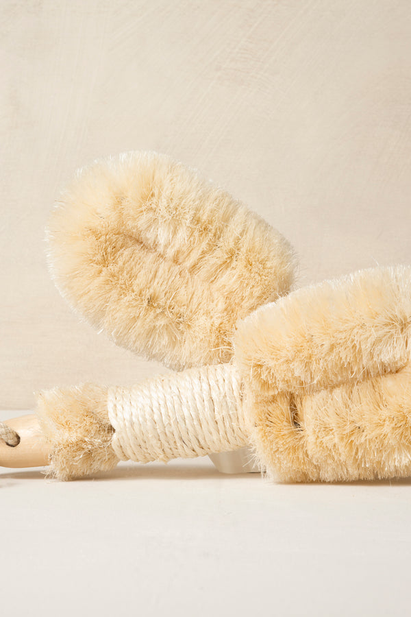 Dry Body Brush