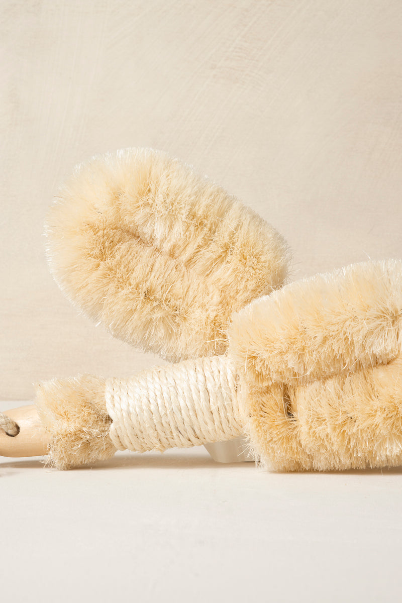 Dry Body Brush
