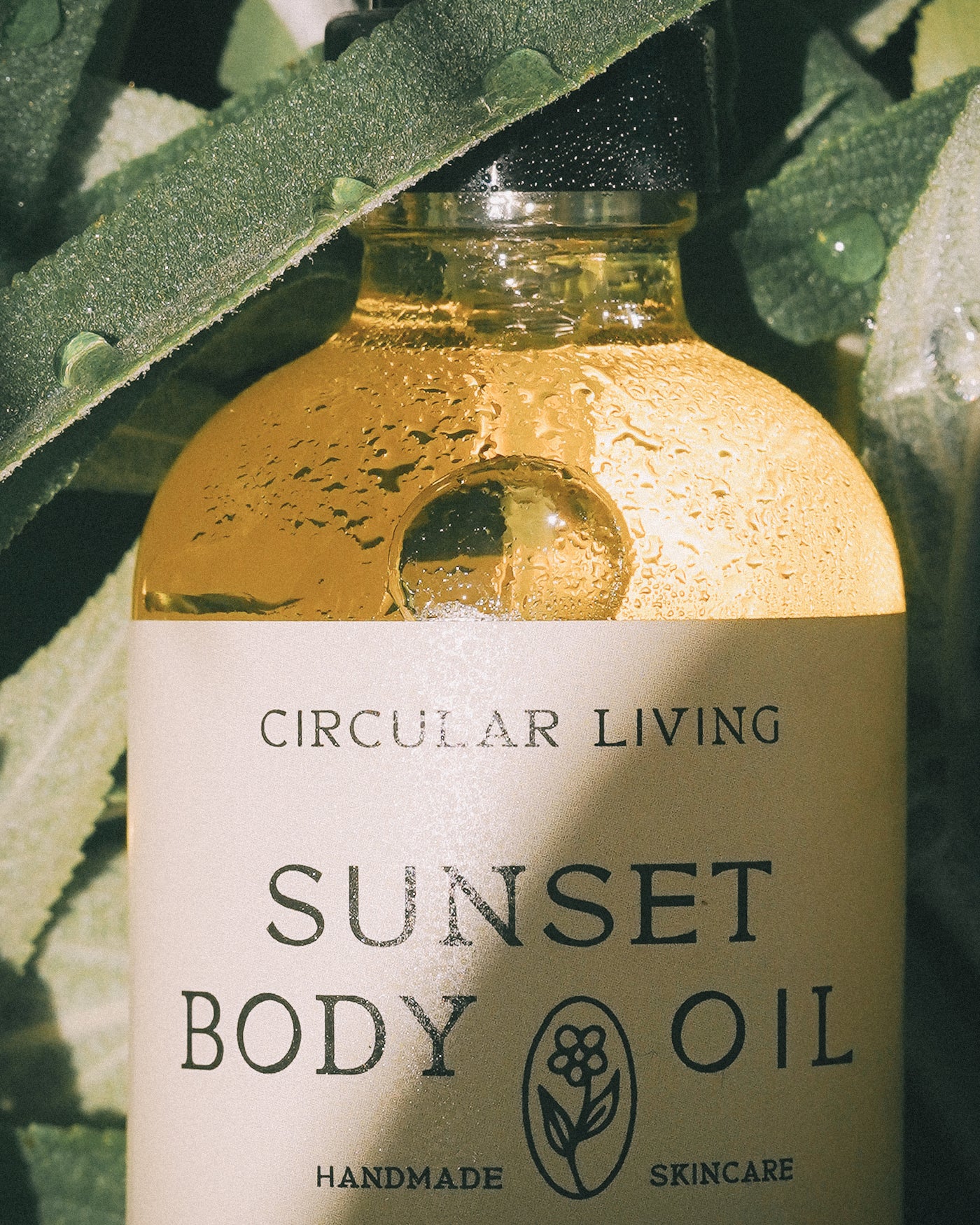 Sunset Body Oil, Clary Sage & Vetiver – Circular Living