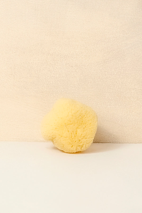 Facial Sea Sponge