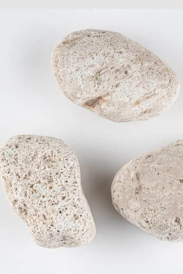 Pumice Stone